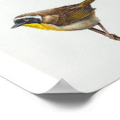 Yellowthrop Warbler Art Print Poster (Ecke)