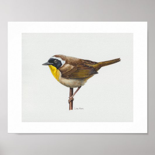 Yellowthrop Warbler Art Print Poster (Vorne)
