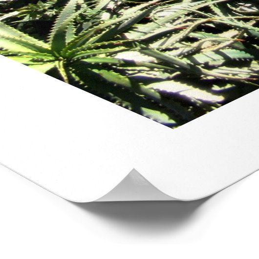 Yemin Moshe Poster (Ecke)