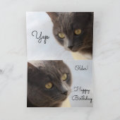 Yep Older Happy Birthday Karte (Innenseite)