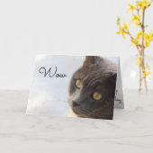 Yep Older Happy Birthday Karte (Gelbe Blume)