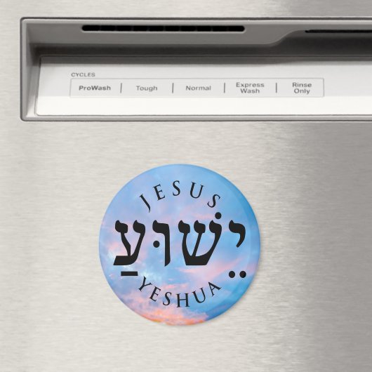 Yeshua Magnet (In Situ (Geschirrspüler))