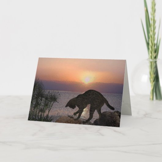 Yeshuas Katze: Mari in Capernaum Karte (Vorderseite)