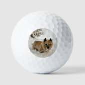 Yeti Golfball (Vorderseite)