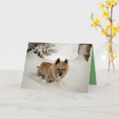 Yeti Karte (Gelbe Blume)
