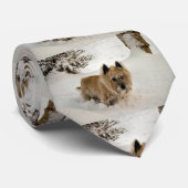 Yeti Krawatte (Gerollt)