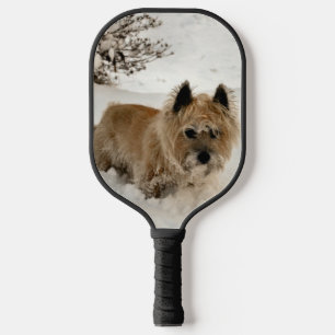 Yeti Pickleball Schläger