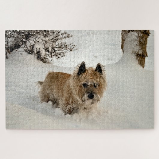 Yeti Puzzle (Horizontal)