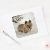 Yeti Quadratischer Aufkleber (Umschlag)