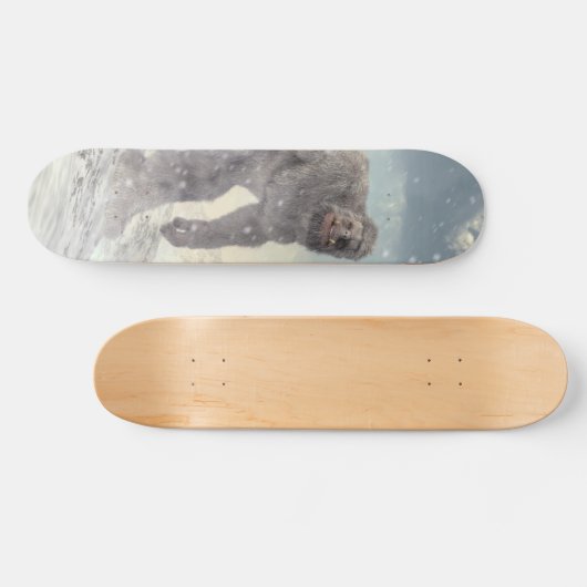 Yeti Skateboard (Horizontal)