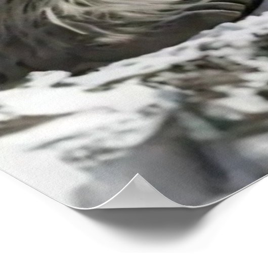 Yeti und das Snow Leopard Poster (Ecke)