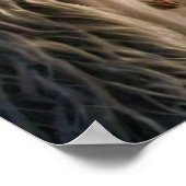 Yeti und das Snow Leopard Poster (Ecke)