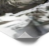 Yeti und Der Schneeleopard Poster (Ecke)