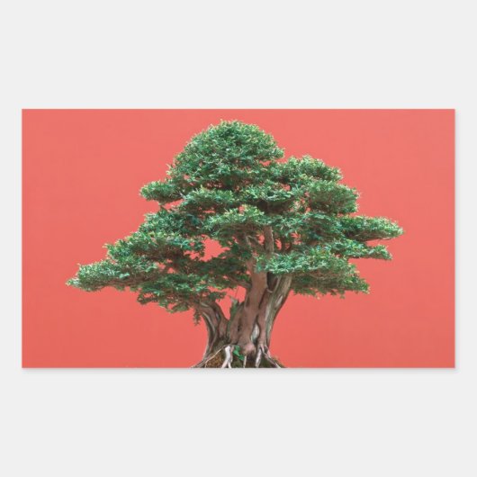 Yew bonsai rechteckiger aufkleber (Vorderseite)