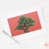 Yew bonsai rechteckiger aufkleber (Umschlag)