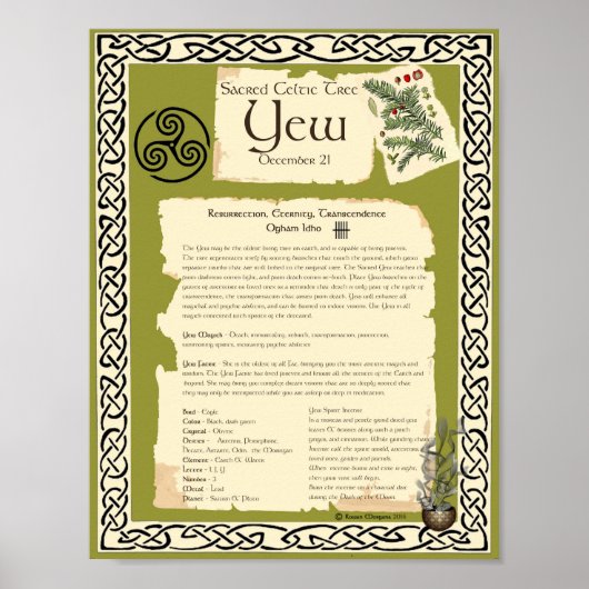 YEW CELTIC SACRED TREM POSTER (Vorne)