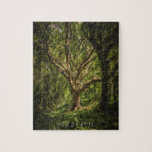 Yggdrasil (Neraines)