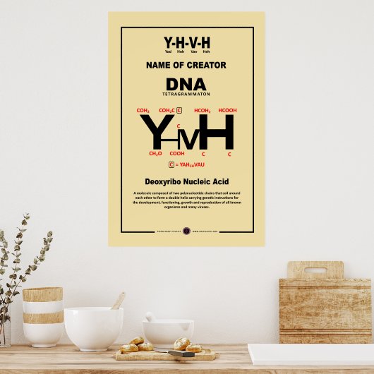 YHVH Chemical Compound Poster (Küche)