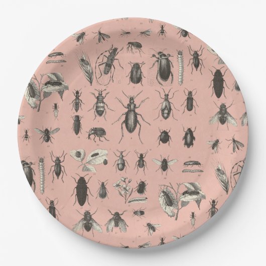 Yikes Wanzen auf meiner Platte Pappteller (Vorderseite)