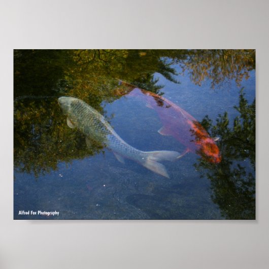 Yin und Yang in Silber und Bernstein Poster (Vorne)