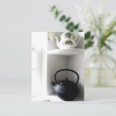 Yin und Yang Postkarte (Stehend Vorderseite)