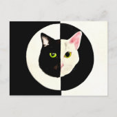 Yin und Yang Schwarz-Weiß Katzen müssen malen Postkarte (Vorderseite)