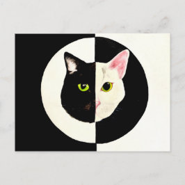 Yin und Yang Schwarz-Weiß Katzen müssen malen Postkarte