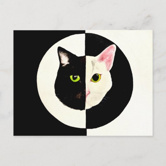Yin und Yang Schwarz-Weiß Katzen müssen malen Postkarte (Vorderseite)