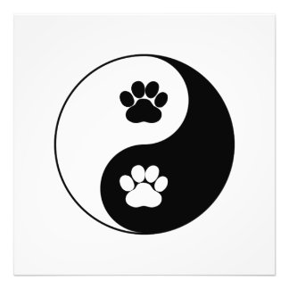 Yin Yang Dog Paw Fotodruck