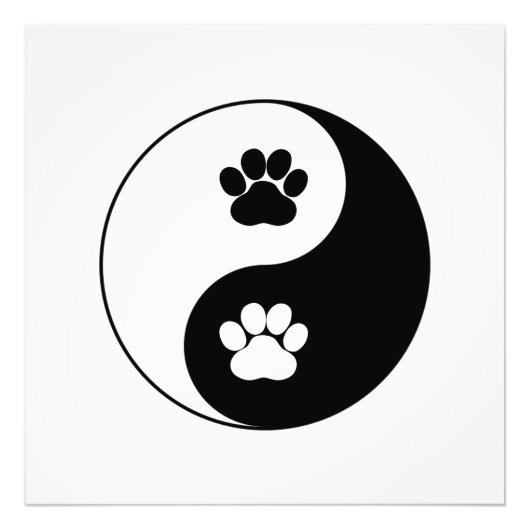 Yin Yang Dog Paw Fotodruck (Vorne)
