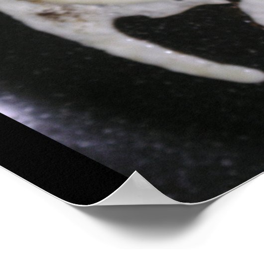 Yin Yang Eggs Poster (Ecke)