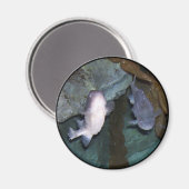 Yin Yang Fish Foto Magnet (Vorderseite/Rückseite)