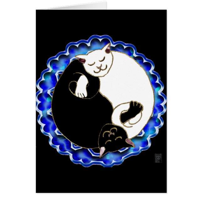yin Yang-Kätzchen (Vorne)