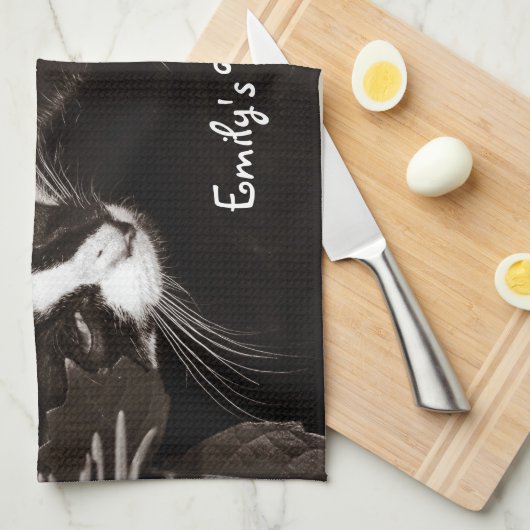 Yin Yang Katzen Handtuch (Viertel Falte)