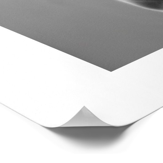 Yin Yang Master Poster (Ecke)