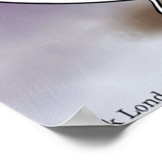 Yin & Yang Meet Funny Zen Poster (Ecke)