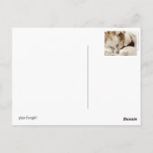 Yips Foxgirl Postkarte (Rückseite)