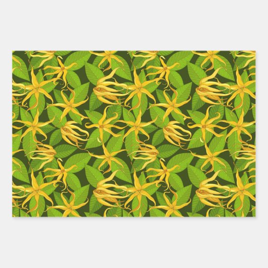 Ylang Ylang Exotic Scented Blume Geschenkpapier Set (Vorderseite 3)