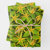 Ylang Ylang Exotic Scented Blume Geschenkpapier Set (Beispiel)