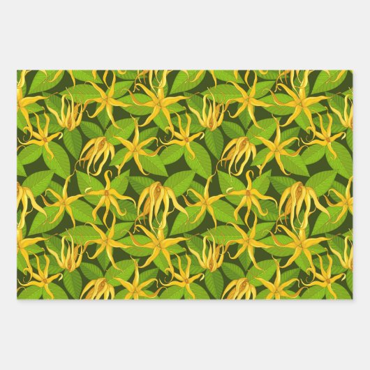 Ylang Ylang Exotic Scented Blume Geschenkpapier Set (Vorderseite)