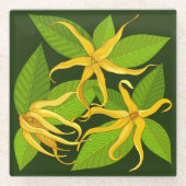 Ylang Ylang Exotic Scented Blume Glasuntersetzer (Vorderseite)