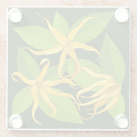 Ylang Ylang Exotic Scented Blume Glasuntersetzer (Rückseite)