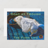YNOTME VAN GOGHISH GOAT AT TROUGH2 POSTKARTE (Vorne/Hinten)