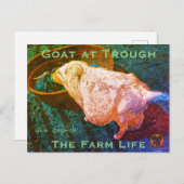 YNOTME VAN GOGHISH GOAT AT TROUGH2a Postkarte (Vorne/Hinten)