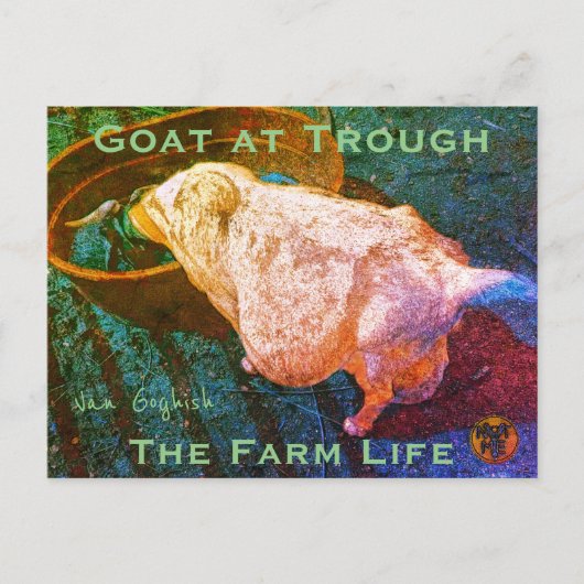 YNOTME VAN GOGHISH GOAT AT TROUGH2a Postkarte (Vorderseite)