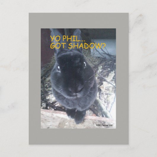 Yo Phil, Got Shadow - Postcard Postkarte (Vorderseite)