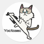 Yoctosec-Erleuchtung Cat Runder Aufkleber (Vorderseite)
