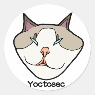 Yoctosec-Erleuchtung Cat Runder Aufkleber