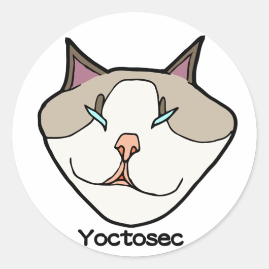 Yoctosec-Erleuchtung Cat Runder Aufkleber (Vorderseite)