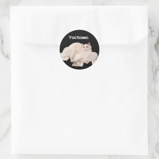 Yoctosec-Erleuchtung Cat Runder Aufkleber (Tasche)